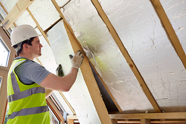 Best Commercial Insulation Services  in Sherrelwood, CO